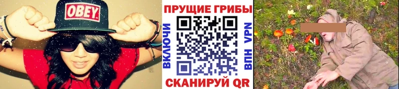 hydra рабочий сайт  Петушки  Псилоцибиновые грибы Psilocybe 